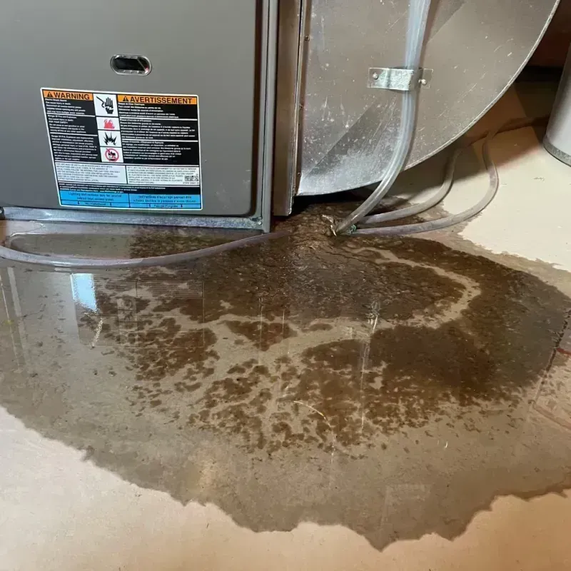 Appliance Leak Cleanup in Schaumburg, IL